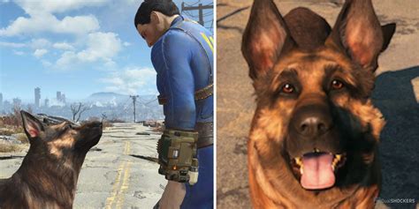 fallout 4 how to call dog|fallout 4 dismiss dogmeat.